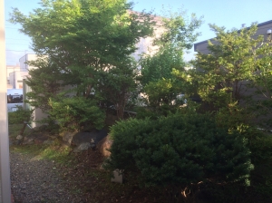 着工前①                         