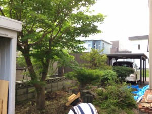 伐採。                                                        
